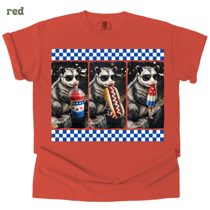 patriotic opossum