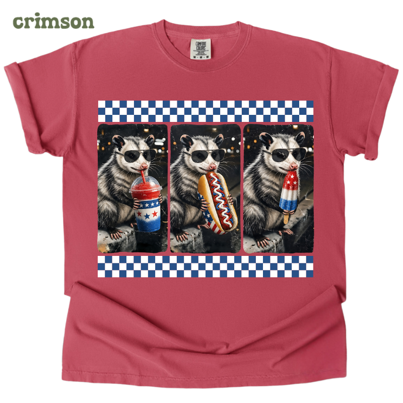 patriotic opossum