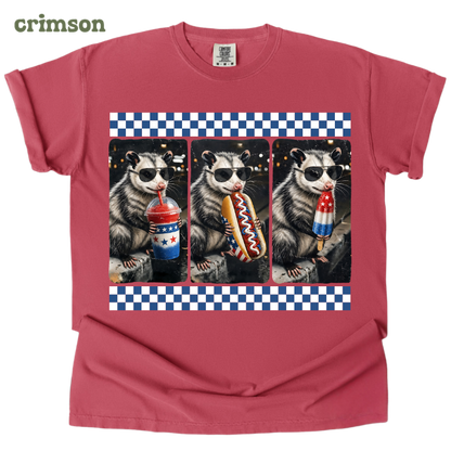 patriotic opossum